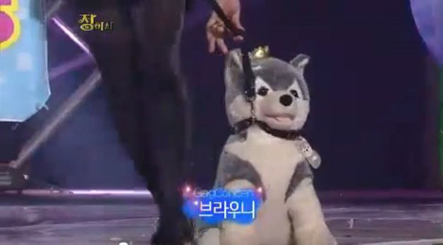 actually_puppy's tweet photo. 쇼타로 브라우니아님? https://t.co/qfzMOzafdu