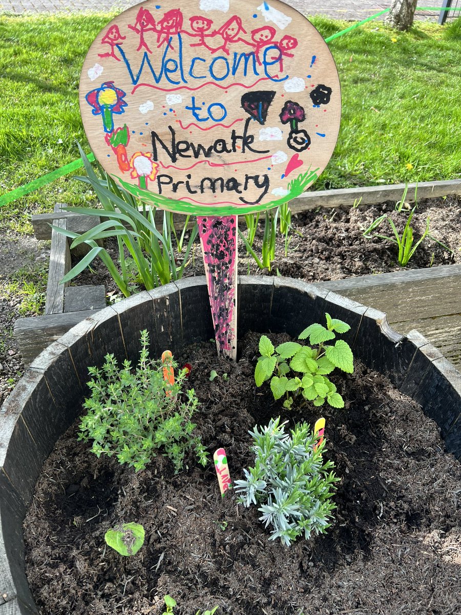 A huge thanks to Mrs Mowberry and the Gardening club who have revamped our @NewarkPrimary main entrance to show our values… I love it! ❤️Thanks also to Bruce from Inverclyde Shed for all your help #Partnership #Enjoyment @MMowberry96305 @Inverclydeshed