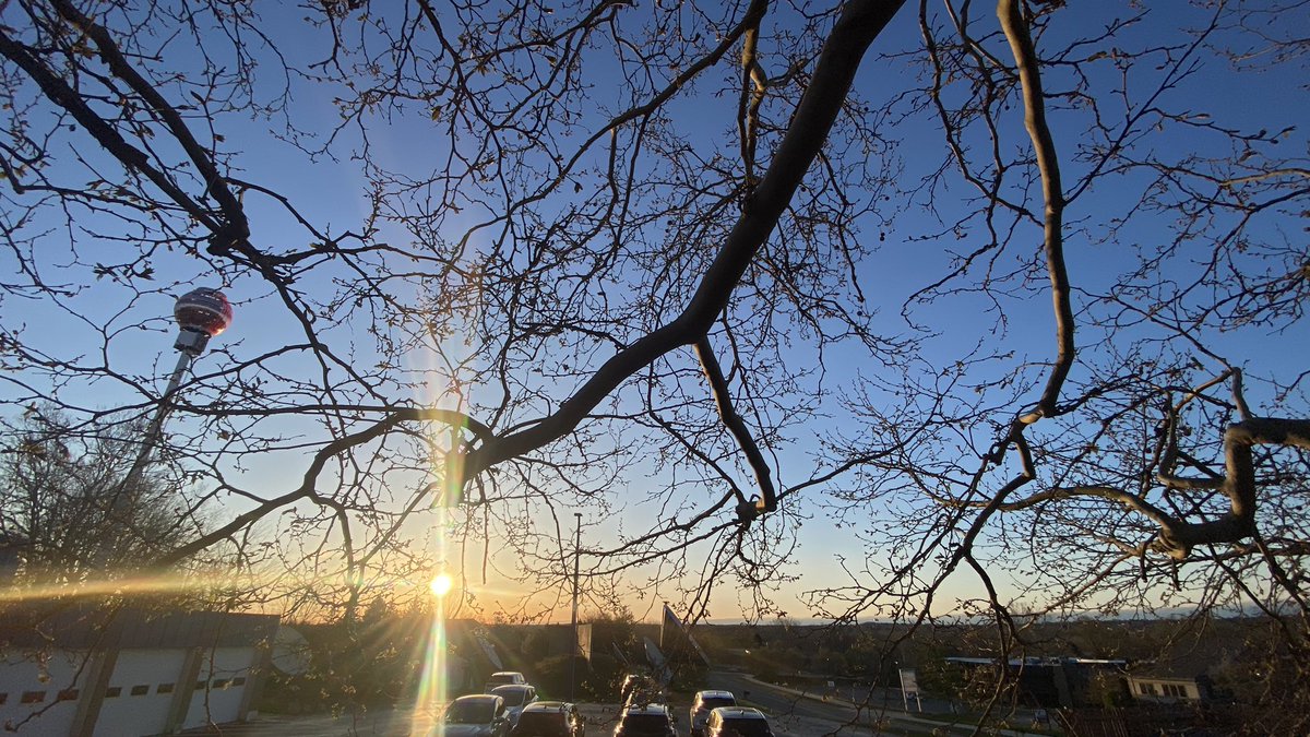 BlakeHansen19's tweet photo. ☀️ Sunday sunshine! #ChasingTheGoldenHour https://t.co/t7mlEgEnGK