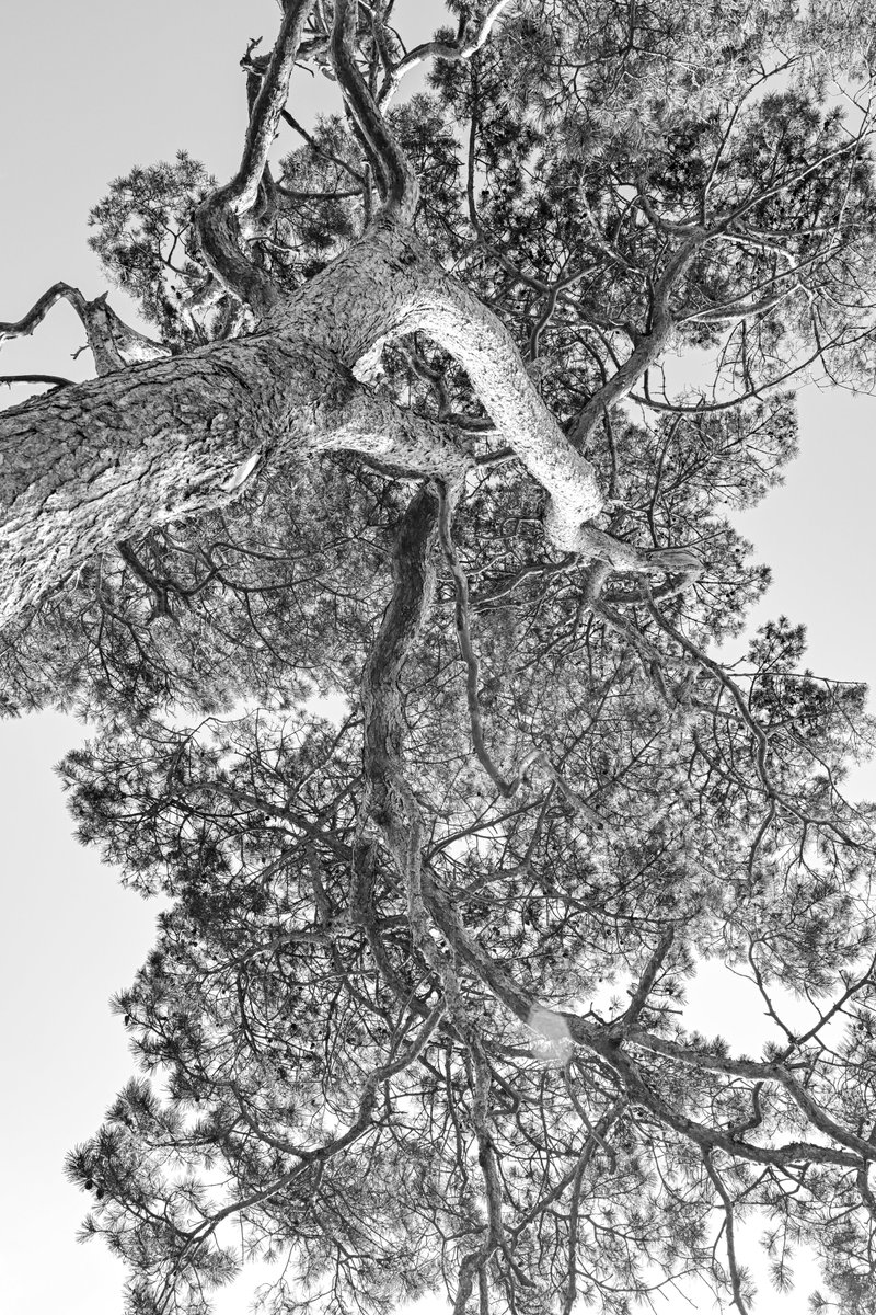 HomeWhenWalking's tweet image. 9616