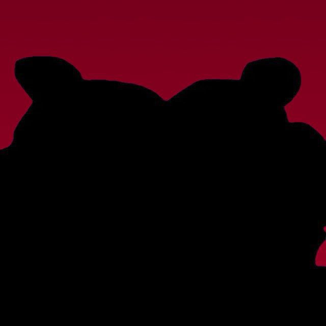 You’ve had your fun,
but now… it’s our time. $BOBO