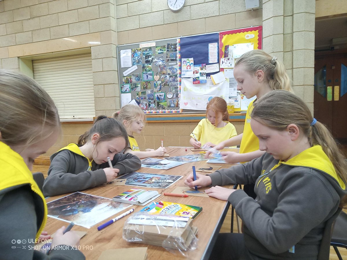 Our Blue Mentor, Jenny visited 1st River Brownies, where she was interviewed about her role as a community organiser as part of the Brownies Job badge. Jenny also spoke about the Red Billed Chough reintroduction and the girls made pom-pom choughs and cards.  📷Jenny Winder