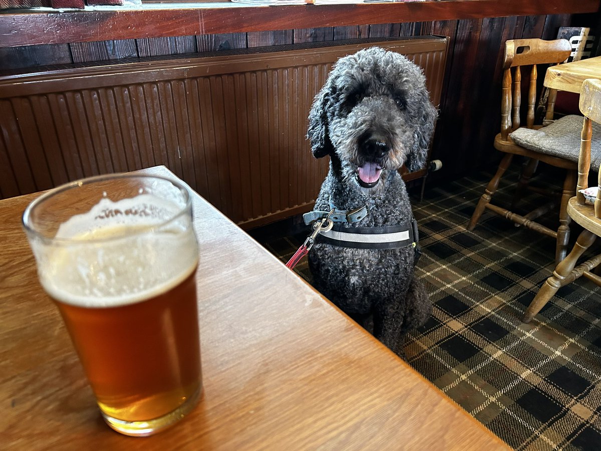 Is there a better recipe for happiness than being in the pub with your dog?