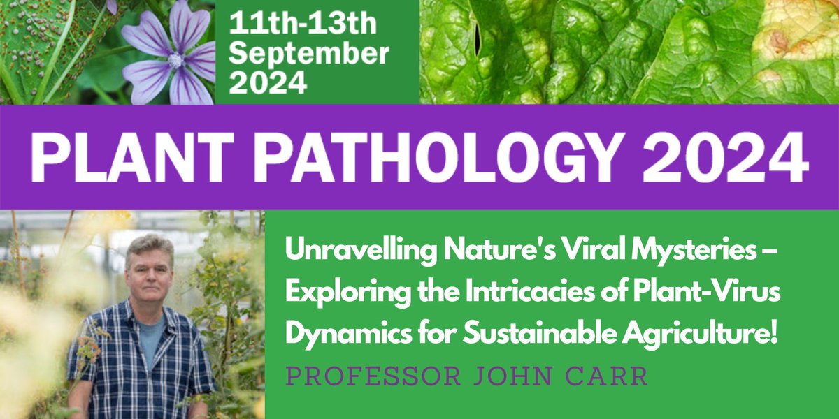 🌱✨ Speaker Highlight! Don't miss Prof. John Carr's insights into Plant-Virus Dynamics at #PPATH2024 in Oxford. Early bird ticket prices end May 1st! 🎟️ PlantPathology.org.uk @jpc1005