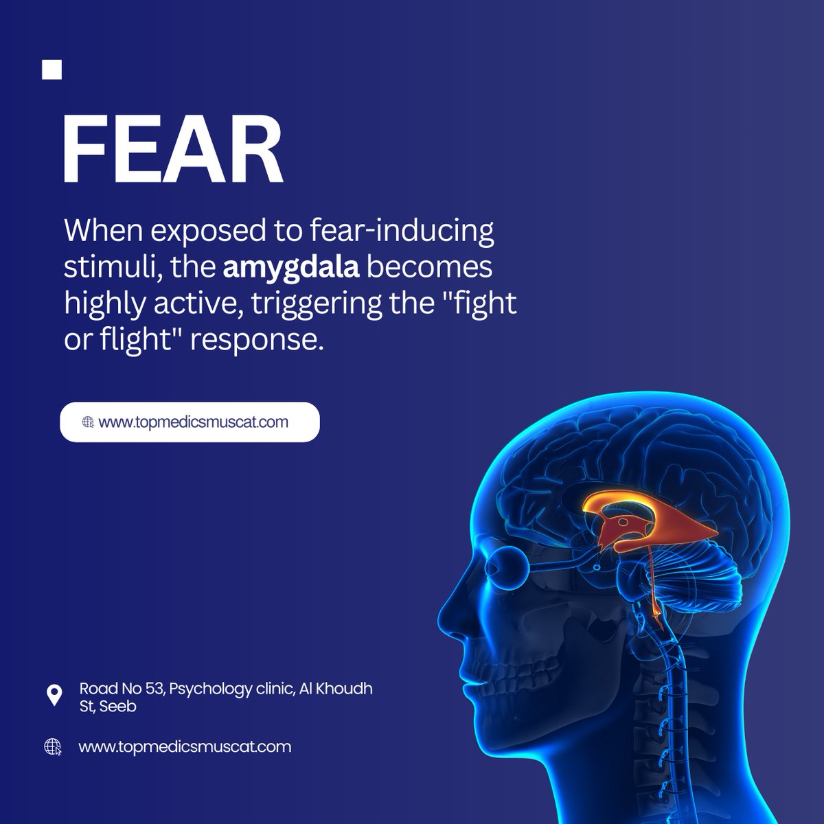 🟢🔵 Dive into the science of negativity! Did you know how it reshapes your brain? Understand the emotional influences and their cognitive impacts. Stay tuned for more insights! #BrainHealth #EmotionalWellness #StayPositive

Learn more at ➡️ topmedicsmuscat.com ✨🧠