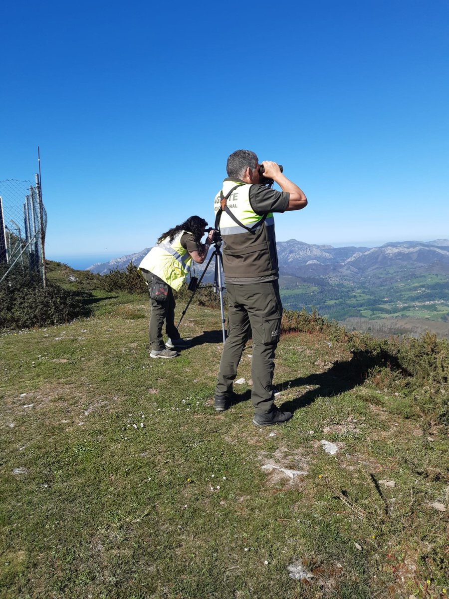 MovilidadAst's tweet photo. 🟠Recordamos que el Infopa continúa activo en su fase de alerta, coincidiendo con las épocas del año de peligro alto y medio de incendios forestales. Los Agentes Medioambientales del Principado desempeñan vigilancias preventivas junto con efectivos de las Bripas. https://t.co/8UHqqc0Lkk