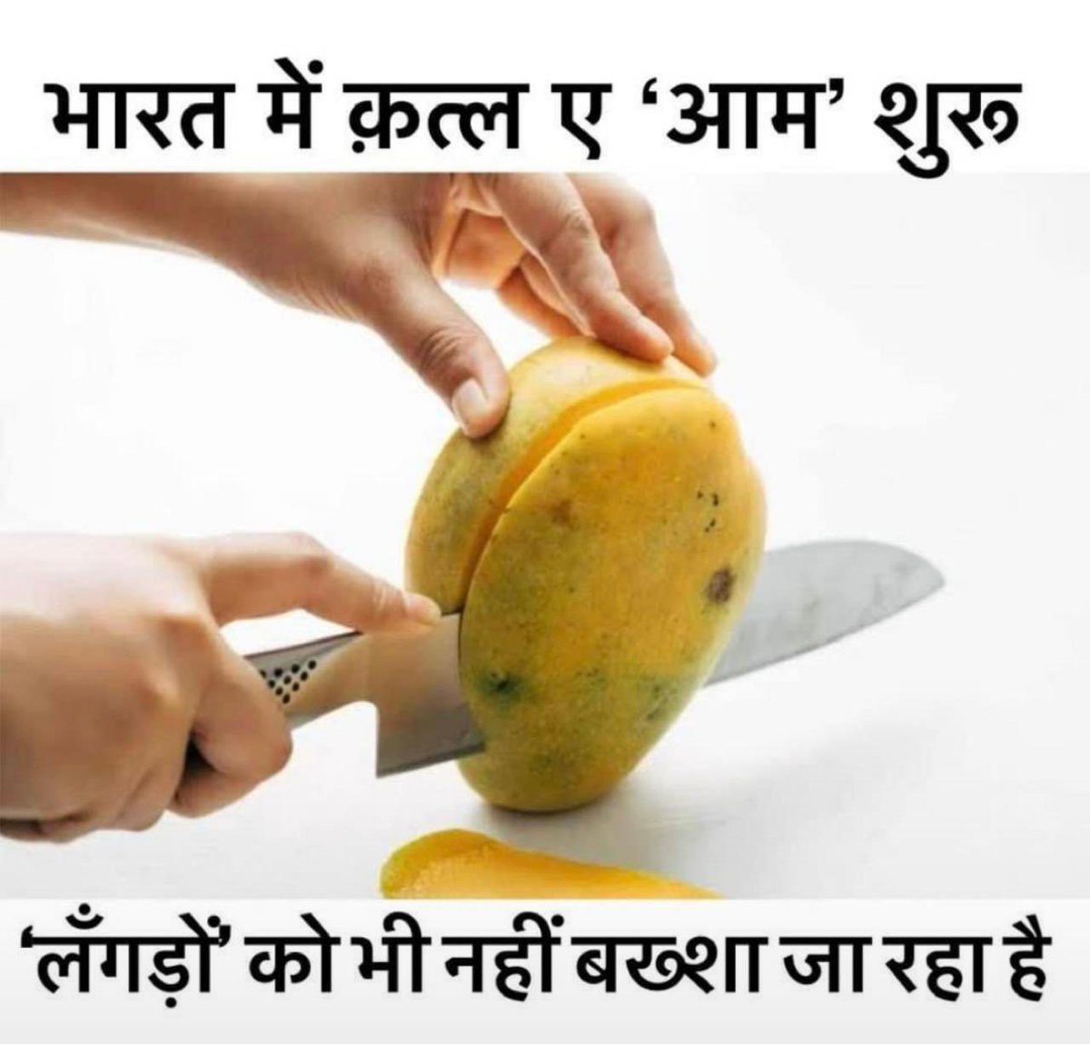 diggieraja's tweet photo. #funkibaat
@rjraunac @ashokism https://t.co/cmZrtpq7Jw