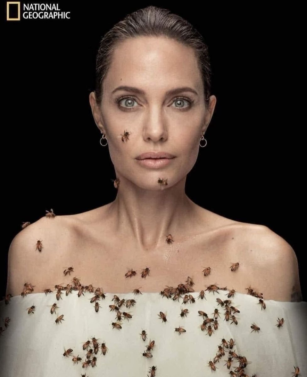 @AybasOzgur Angelina arılarla ilgili farkındalık yaratmak için günlerce yıkanmamış. Nefis bir görsel👌