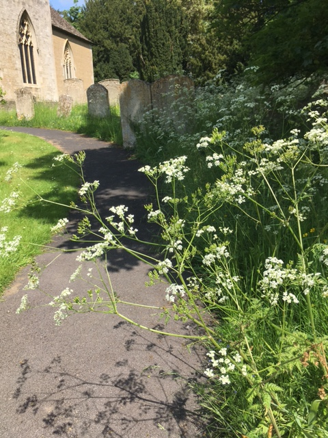 St Mary's Southwick tweet media