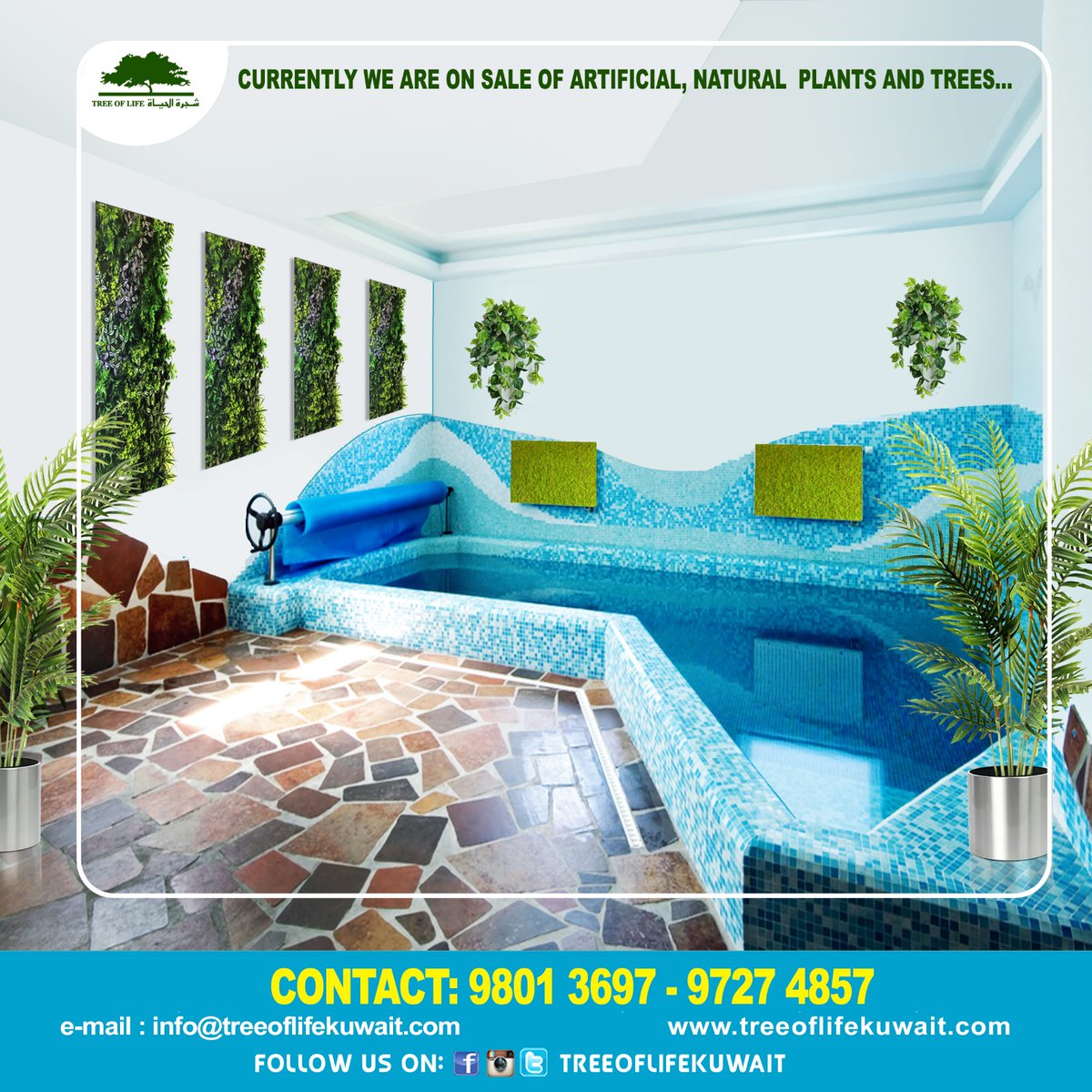 #supersale #summersale #wintersale #specialoffer #newhouse #furniture #GreenWallkuwait #plantwork #plant #tree #kuwaitoffer #bestoffer #maintenance #megaoffer #discounts #weekendoffer #sale #Treeoflifekuwait #Treekuwait #Plantkuwait #Artificialtree #wallplants #interiordesign