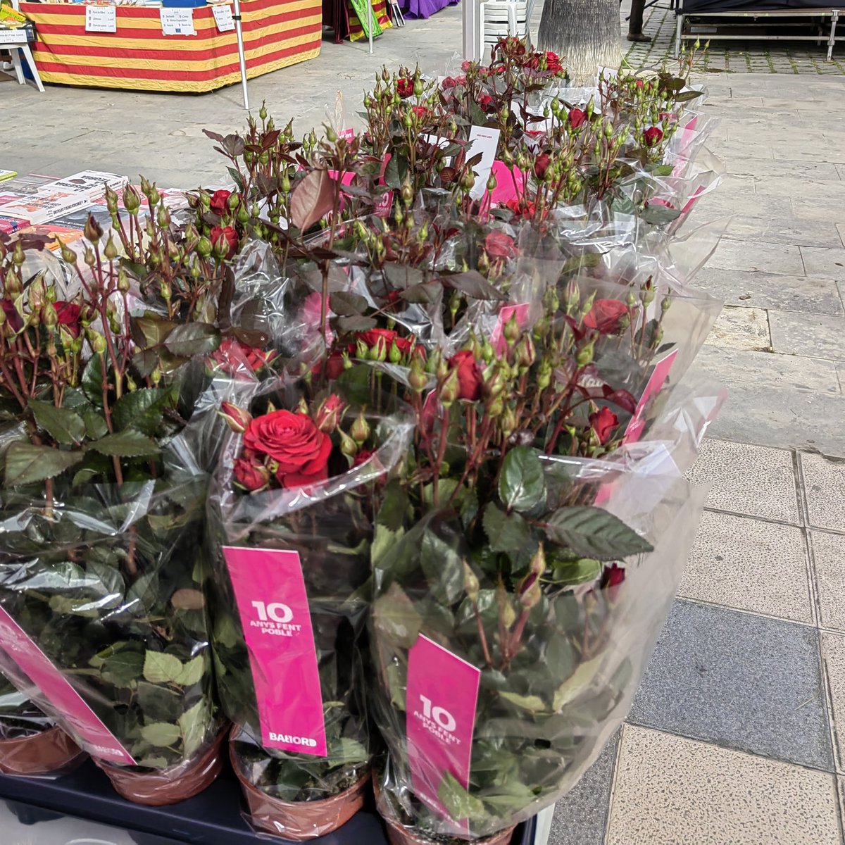 Babord VdM (@babordvdm) on Twitter photo 📢 Avui estarem fins les 15h a la Plaça de l'Ajuntament.
🌹 Rosers de km0
📚 Llibres en col·laboració amb la <a href="/LlibreriaIndex/">Llibreria Índex</a> i <a href="/radicalbookcoop/">Radical Books Coop</a>.
💪 T'hi esperem!
#10AnysFentPoble
#SantJordi2024 📢 Avui estarem fins les 15h a la Plaça de l'Ajuntament.
🌹 Rosers de km0
📚 Llibres en col·laboració amb la <a href="/LlibreriaIndex/">Llibreria Índex</a> i <a href="/radicalbookcoop/">Radical Books Coop</a>.
💪 T'hi esperem!
#10AnysFentPoble
#SantJordi2024