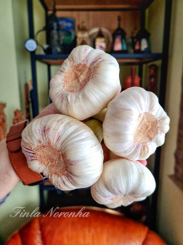 Fresh garlic from the local market 
#garlic #foodphotography #freshproduce #seasonal