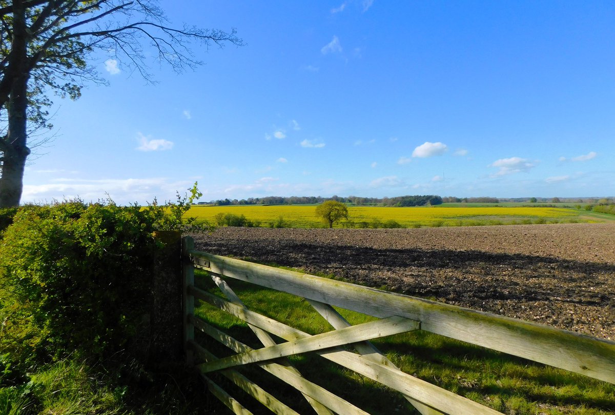 #sundayyellow #LincsWolds #loveukweather