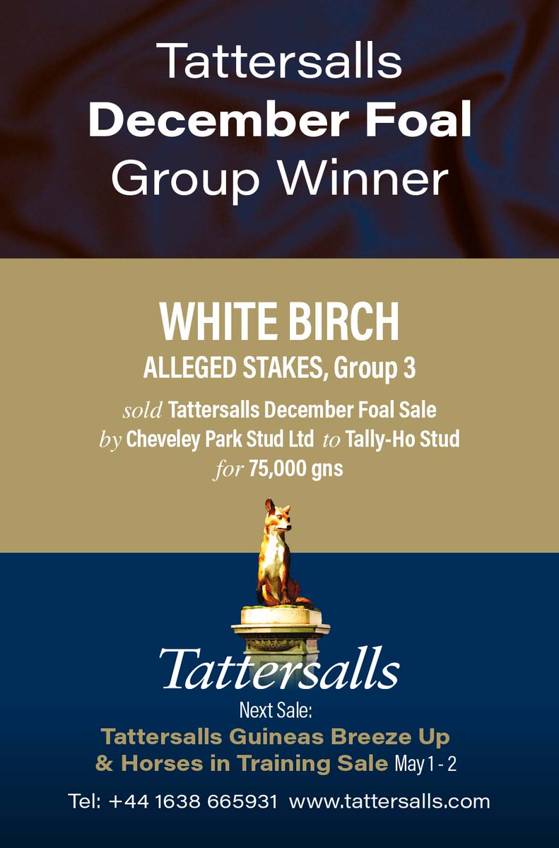 💥 @Tattersalls1766 December Foal Group Winner 💥 🏆 WHITE BIRCH wins the Gr.3 Alleged Stakes. Sold at the December Foal Sale by @CPStudOfficial to @HoStud for 75,000gns. 🗓 Next Sale: Guineas Breeze Up & HIT Sale, May 1 - 2 tattersalls.com