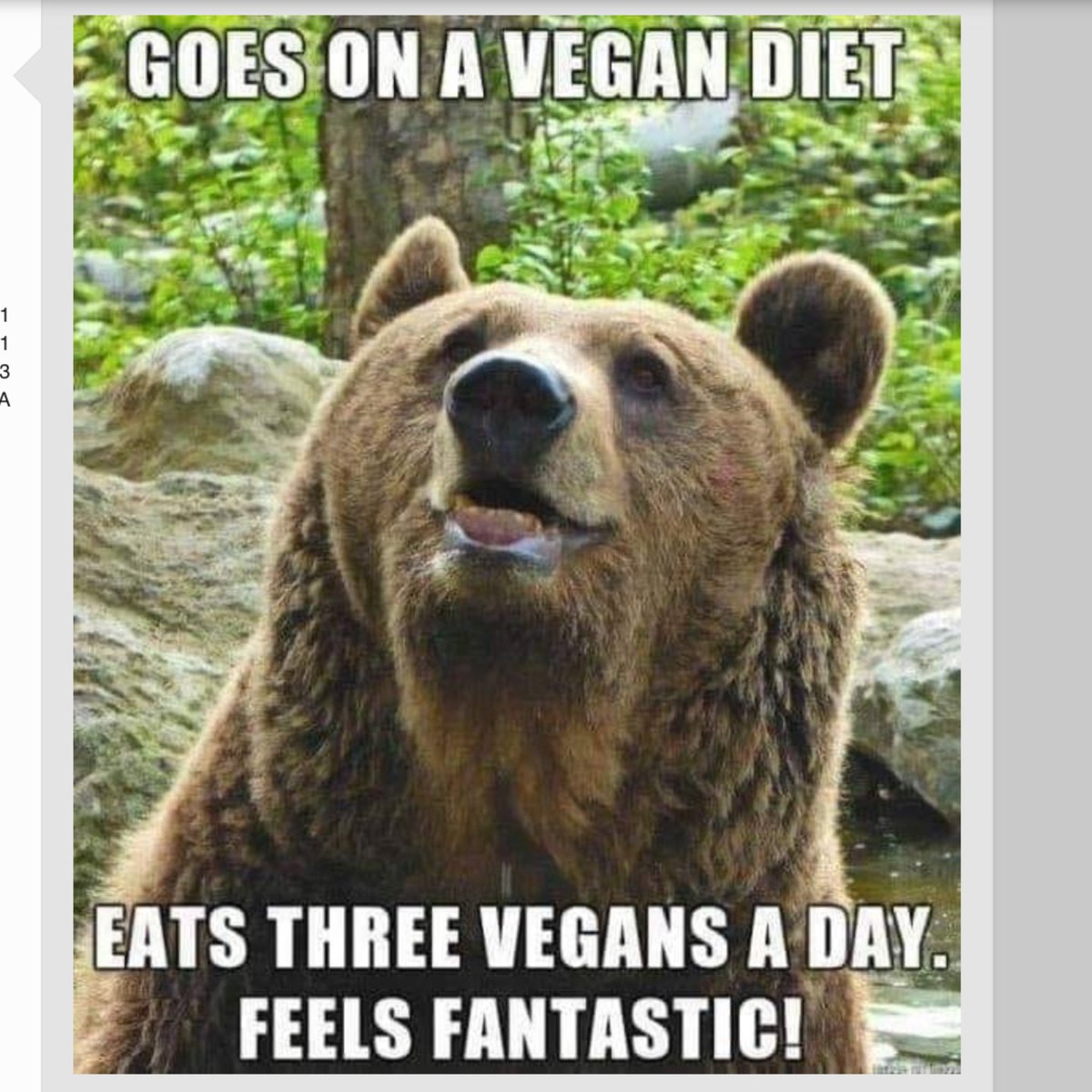 #carnivorediet