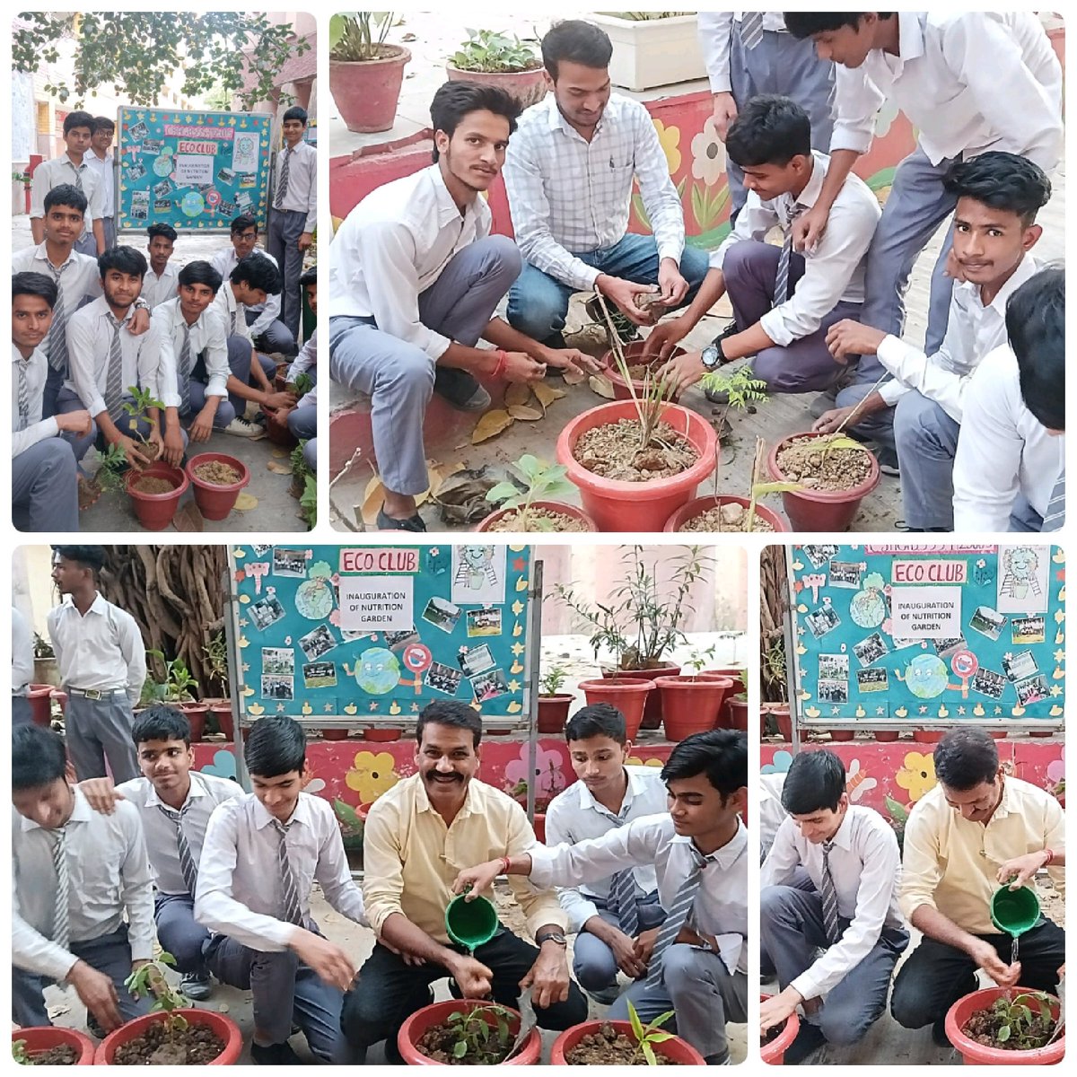 Inaugration of new Nutrition Garden in our school CSA GBSSS NFC