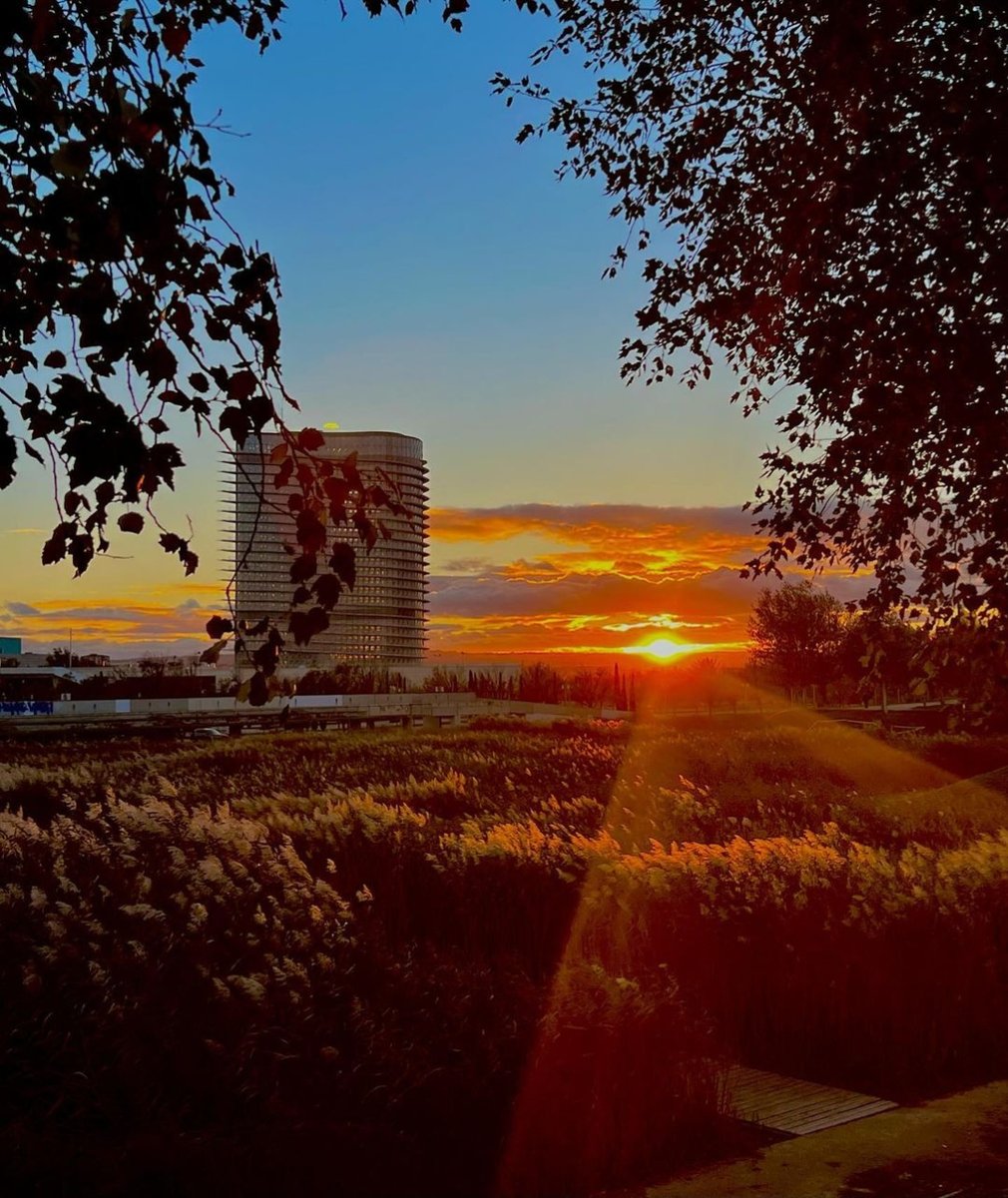 Enjoying nature in the middle of the city is always a great plan 🔝

The Parque del Agua in #Zaragoza, apart from being an ideal place to walk, do sport or enjoy picnics, you can admire sunsets like this one 🤩

📸 @beaceperaw

#VisitZaragoza