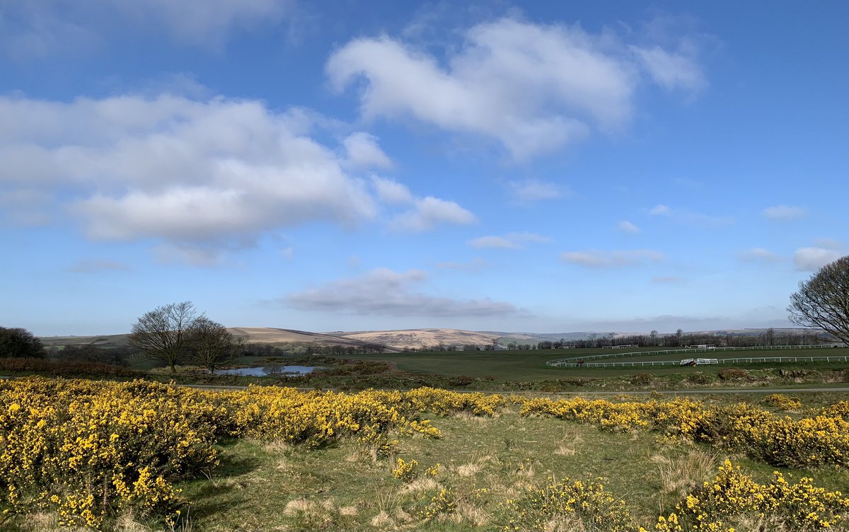 Simonsbath in the distance on a fine Spring morning here on Exmoor.
#Exmoor #Simonsbath #NationalPark