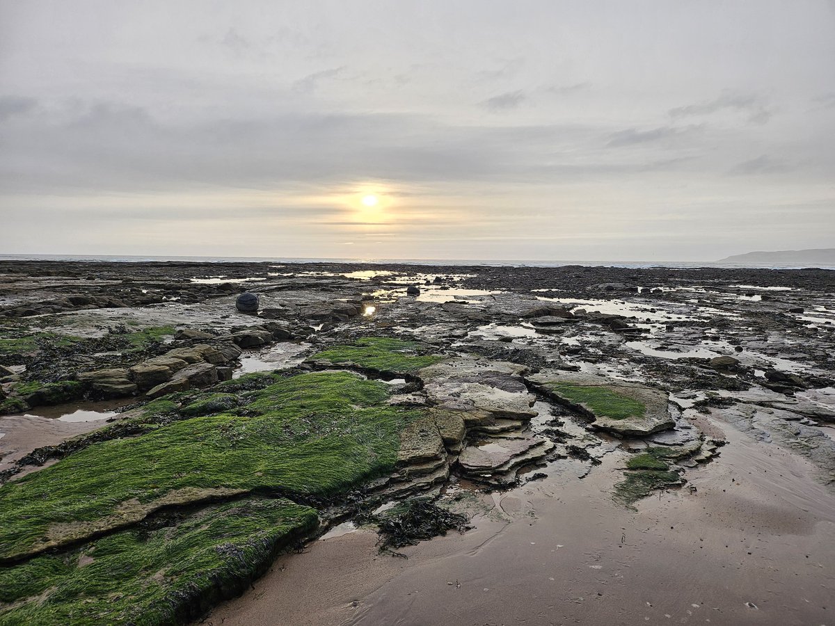 Ahh #eastlothian lovely morning for rockpooling