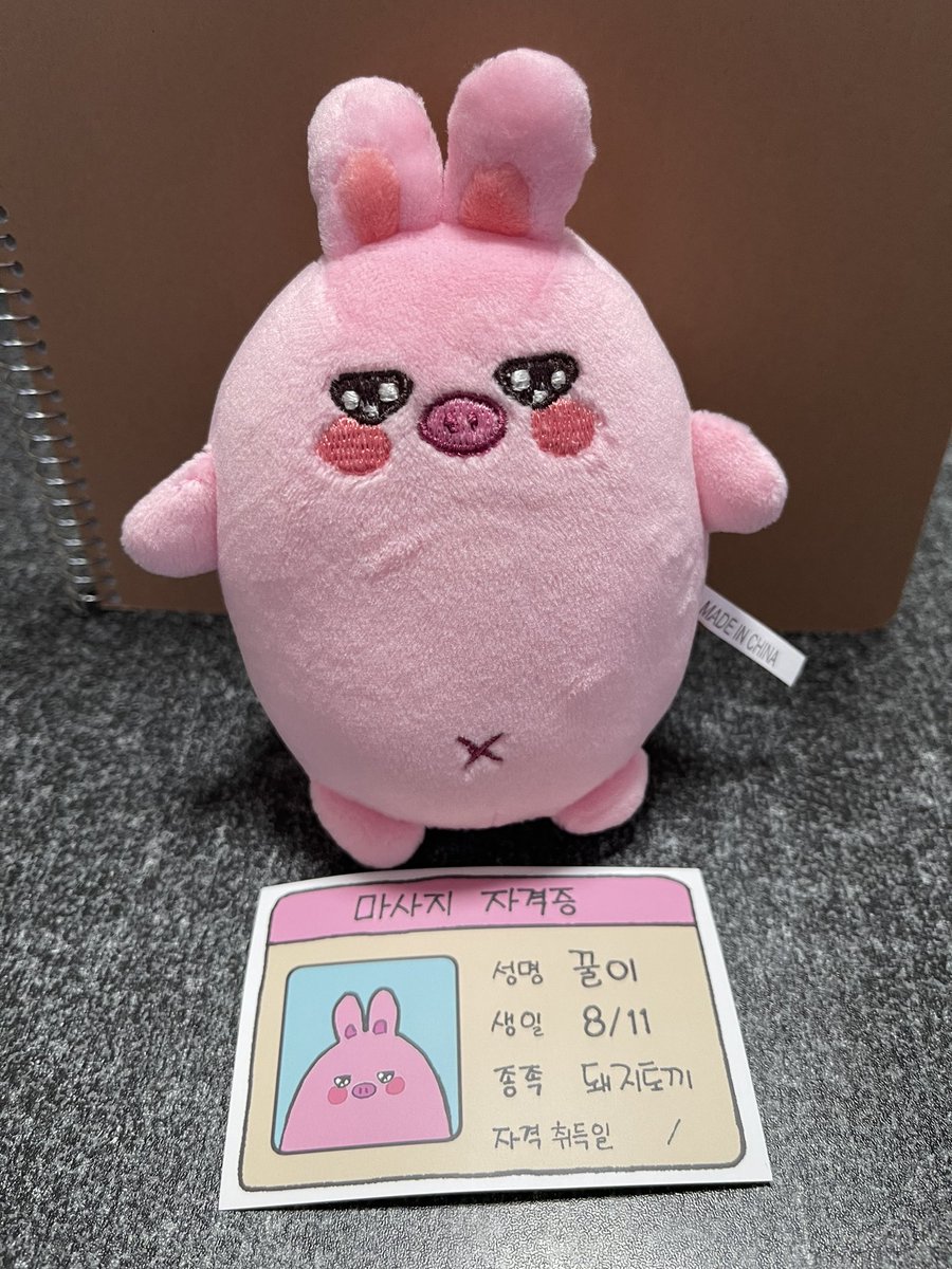 <a href="/Straykids_JP_/">메이 ( JPGO FOR STAY MEI )🇯🇵</a>  様
<a href="/bbok2_ggul2/">뽁이꿀이</a> 님 

本日可愛い子が届きました。
いつも、ありがとうございます
