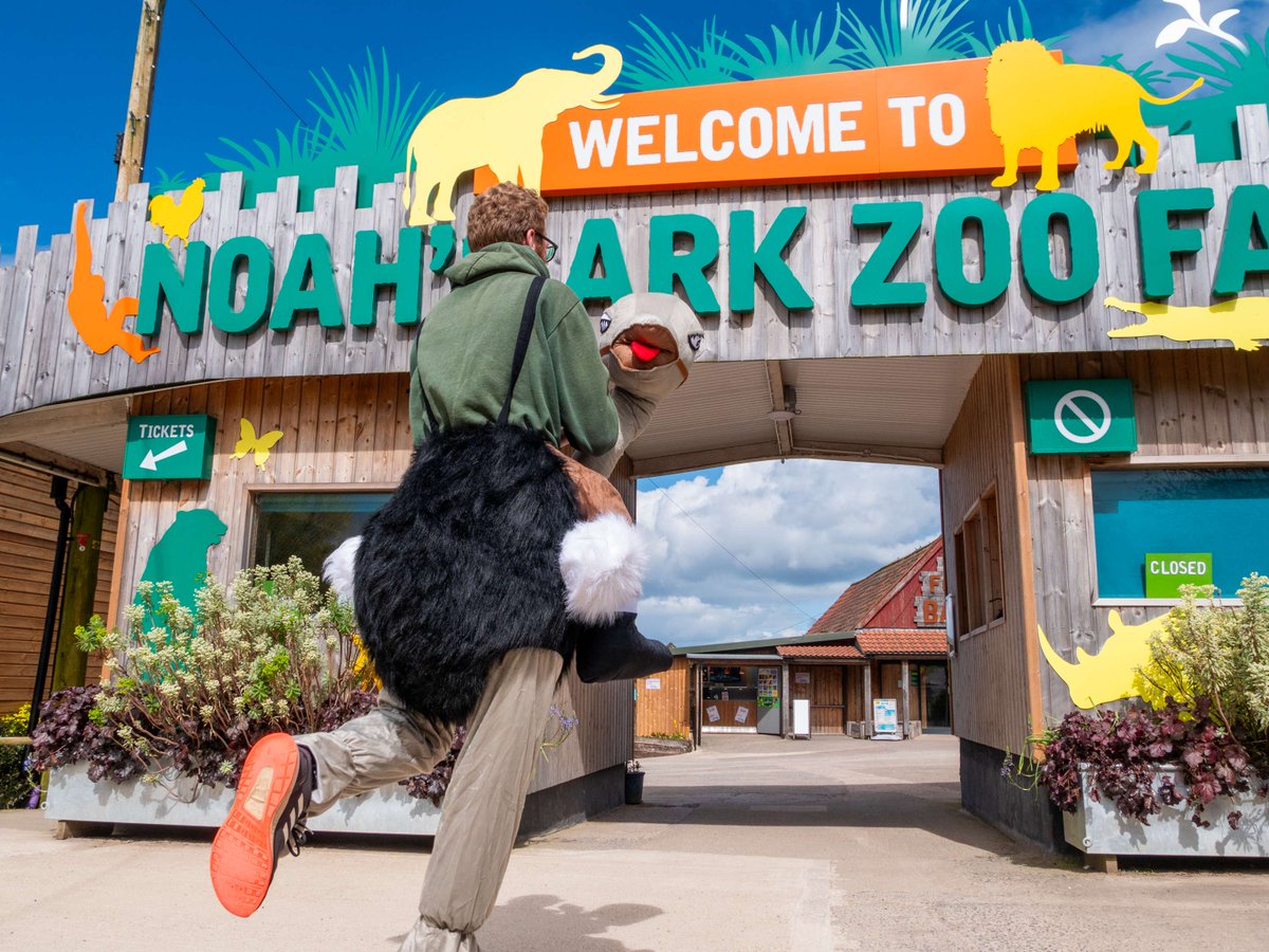 We are thrilled to announce that Park Ranger, Matt, will be running the upcoming Bristol Half Marathon in support of the vital work we do here at Noah's Ark Zoo Farm. Help support Matt by donating to the Noah's Ark GoFundMe page. Donate below 👇 bit.ly/49BdCsd