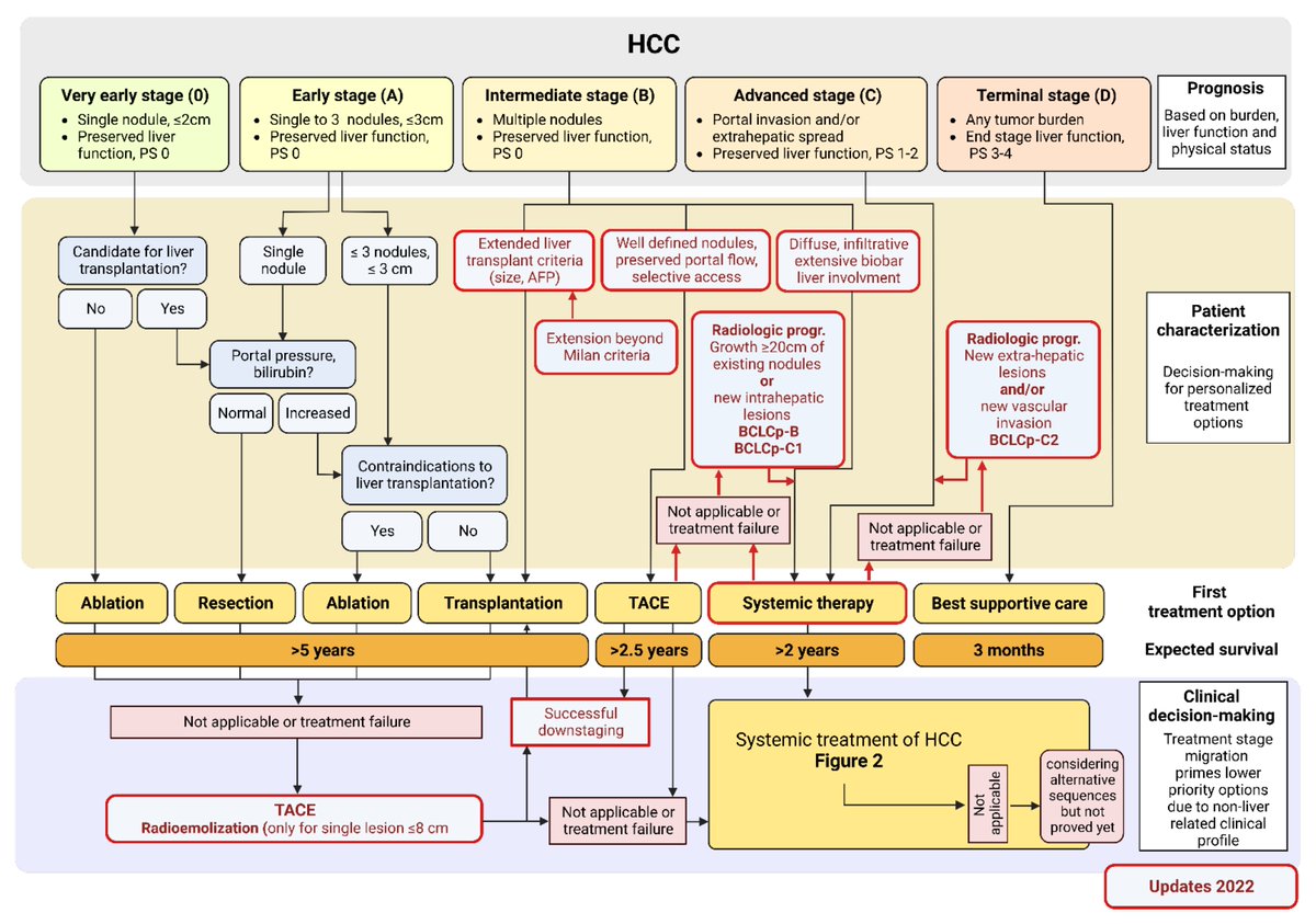 #HepatocellularCarcinoma
#LiverCancer
Pathogenesis and Current Treatment Strategies of Hepatocellular Carcinoma
mdpi.com/2227-9059/10/1…