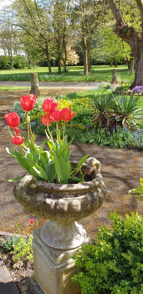 chrisjay tweet media