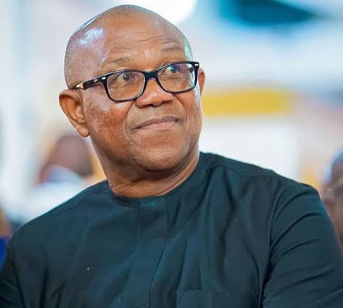 “I'll not encourage anyone to join politics as a career. The reason we've many problems in Nigeria is that we have many who have never managed people or created wealth, now managing national resources. It makes people desperate because they've no career to go back to” - Peter Obi