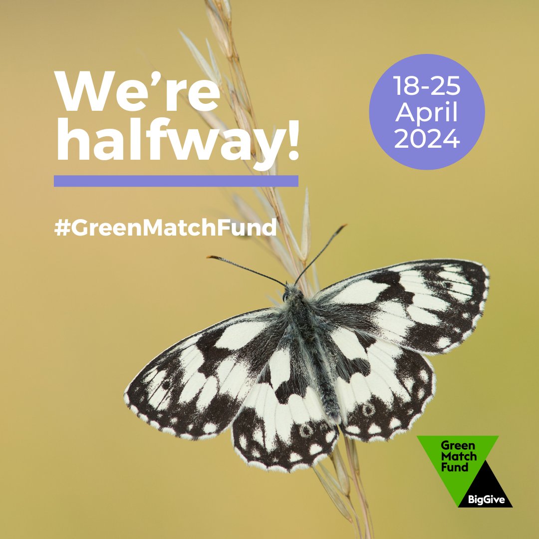 Thanks to your donations, we're halfway to our £40,000 target already! 🥳 Remember, all donations are being DOUBLED until 12pm Thursday. It's never been easier to help us make sure @healsomerset is kept for nature, forever. Donate now 👇 donate.biggive.org/campaign/a0569…