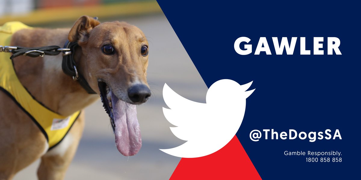 GREYHOUND TIPS BY SA GREYHOUNDS
Gawler (G) | FINE | GOOD
Start Time: 17:24 April 21, 2024

Tips here: 
skyracing.com.au/skyExpertTips/…

Gamble Responsibly 1800 858 858
#weloveourdogs #greyhoundracing #Greyhounds