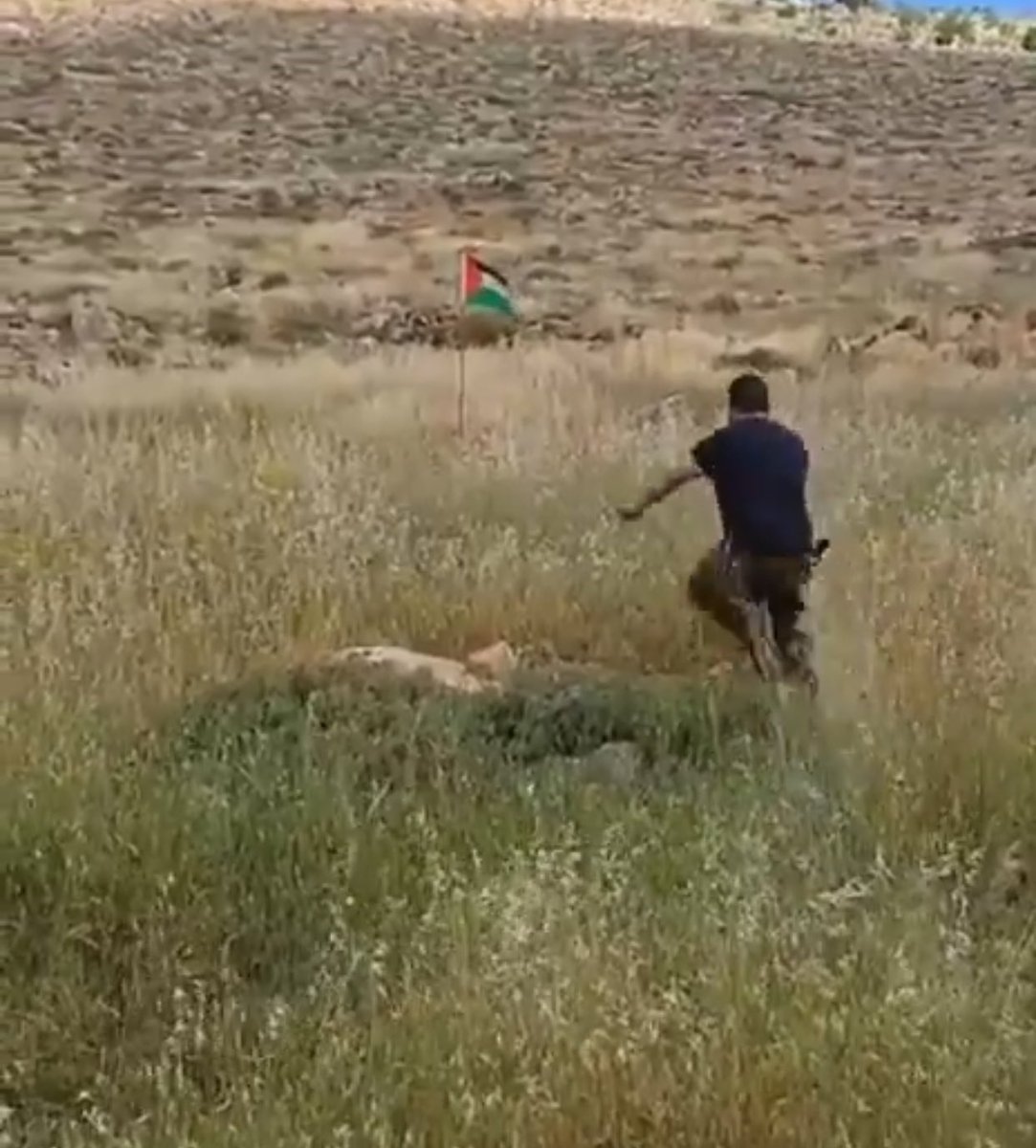 يوسف الدموكي tweet media