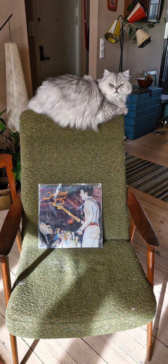 Start the day with Jonathan Richman and a precariously perched cat.