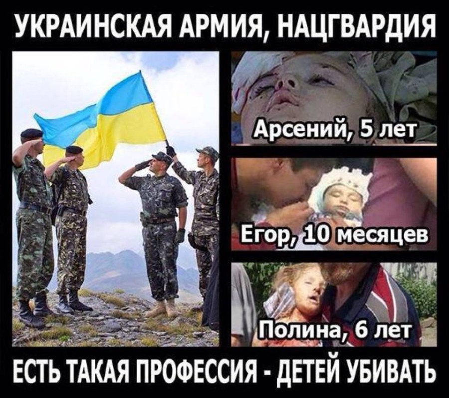 Александр просто (@buduzdorovblog) on Twitter photo 