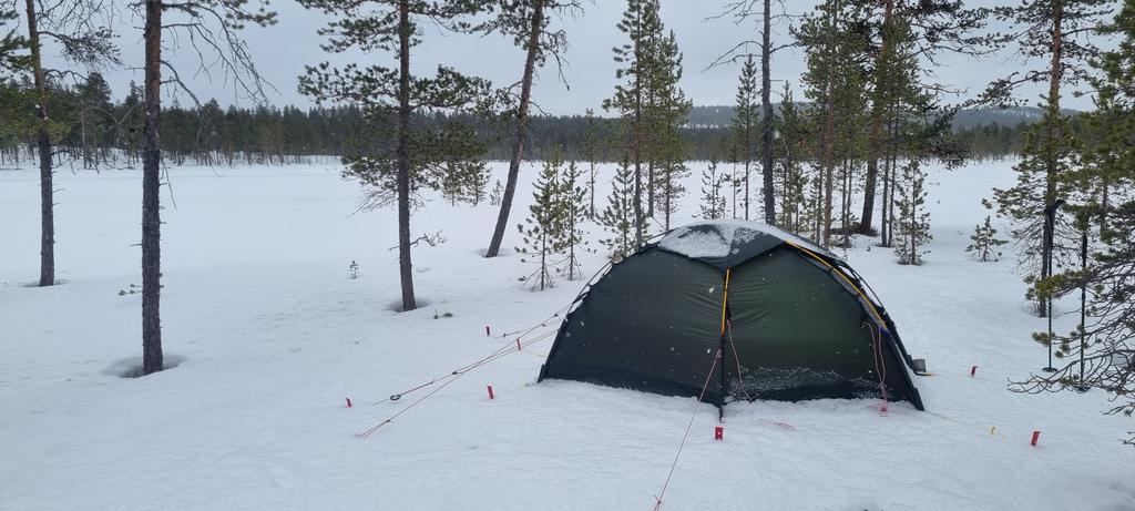 Mark Waring tweet media