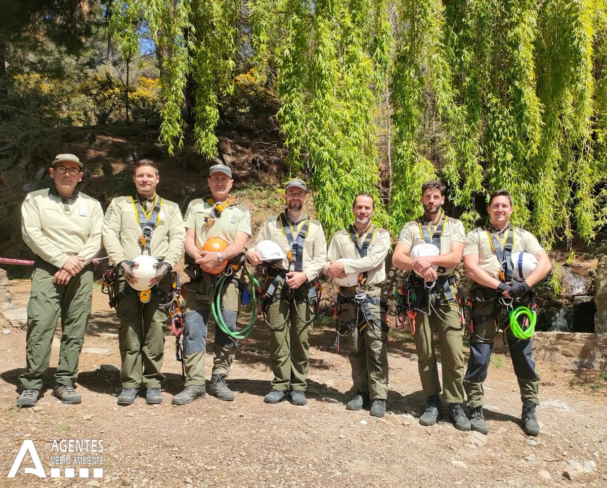 AAMM_And's tweet photo. En ocasiones nuestra unidad especializada #UVCA ha de trabajar en árboles de gran altura, para atender un nido o incluso para conservar el propio árbol. Ello exige técnicas diferentes al trabajo en pared que se abordan en este Curso de formación de trabajos verticales en árboles. https://t.co/VYuwpiFiJa