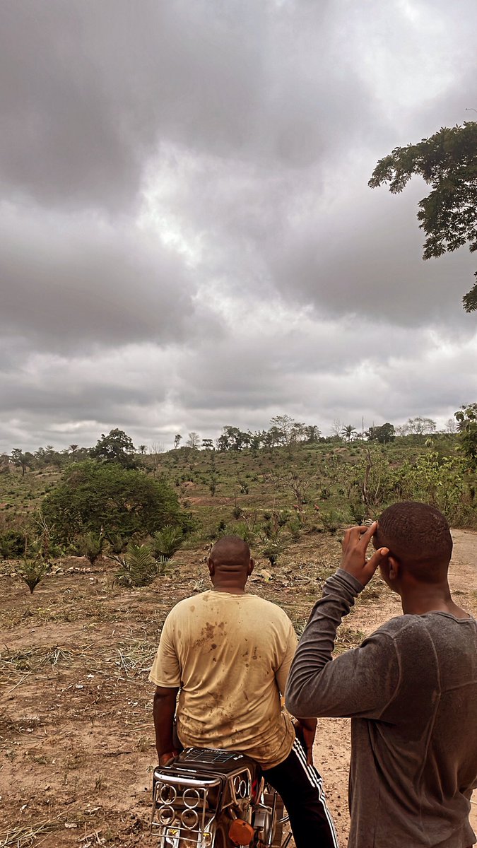 flourish_fx's tweet image. Plant your dreams with intention, nurture them with perseverance, and watch as the harvest of your efforts blooms before you. 
Take care of the cause and the effects will take care of itself. 

#sowandreap #investing