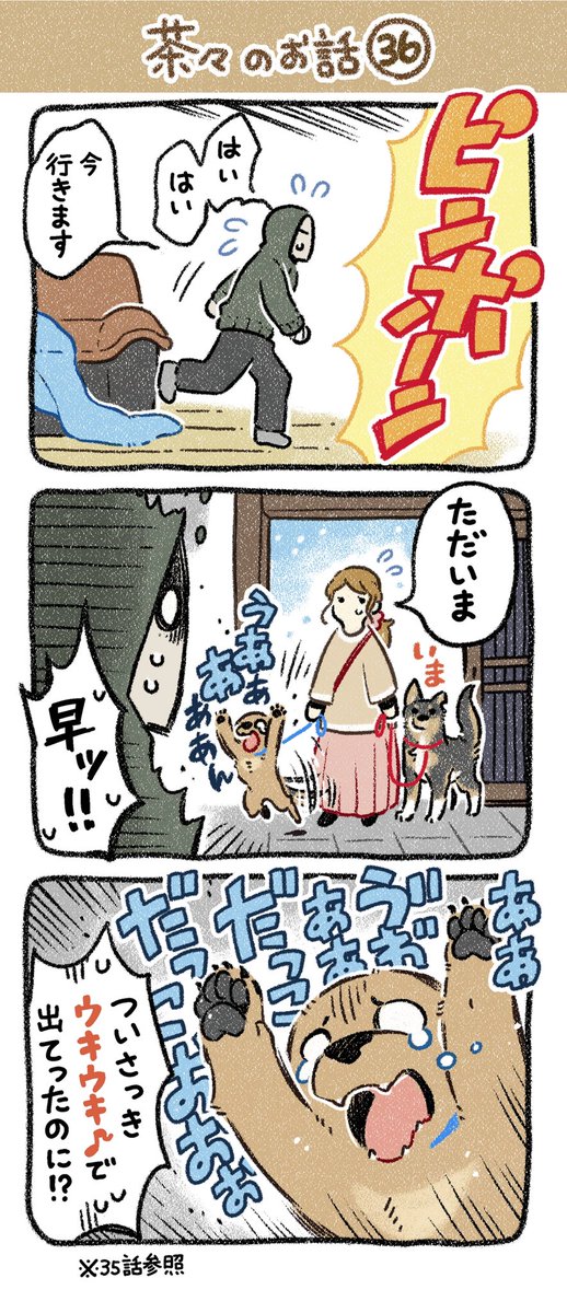 保護犬茶々のお話【第36話】
#漫画が読めるハッシュタグ 