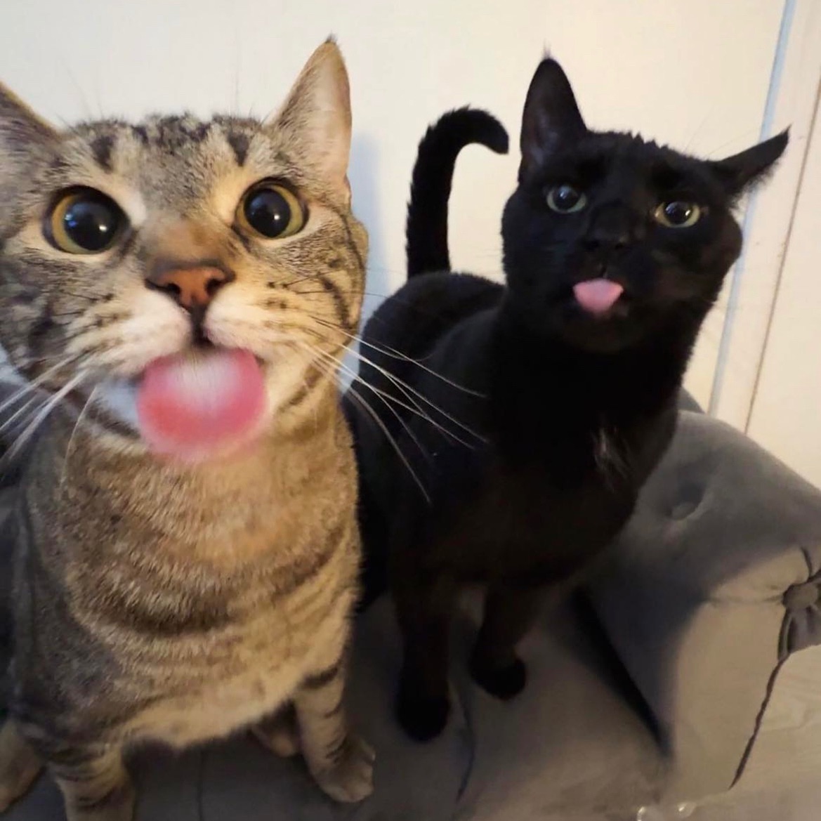 im Burundis!'' tweet media