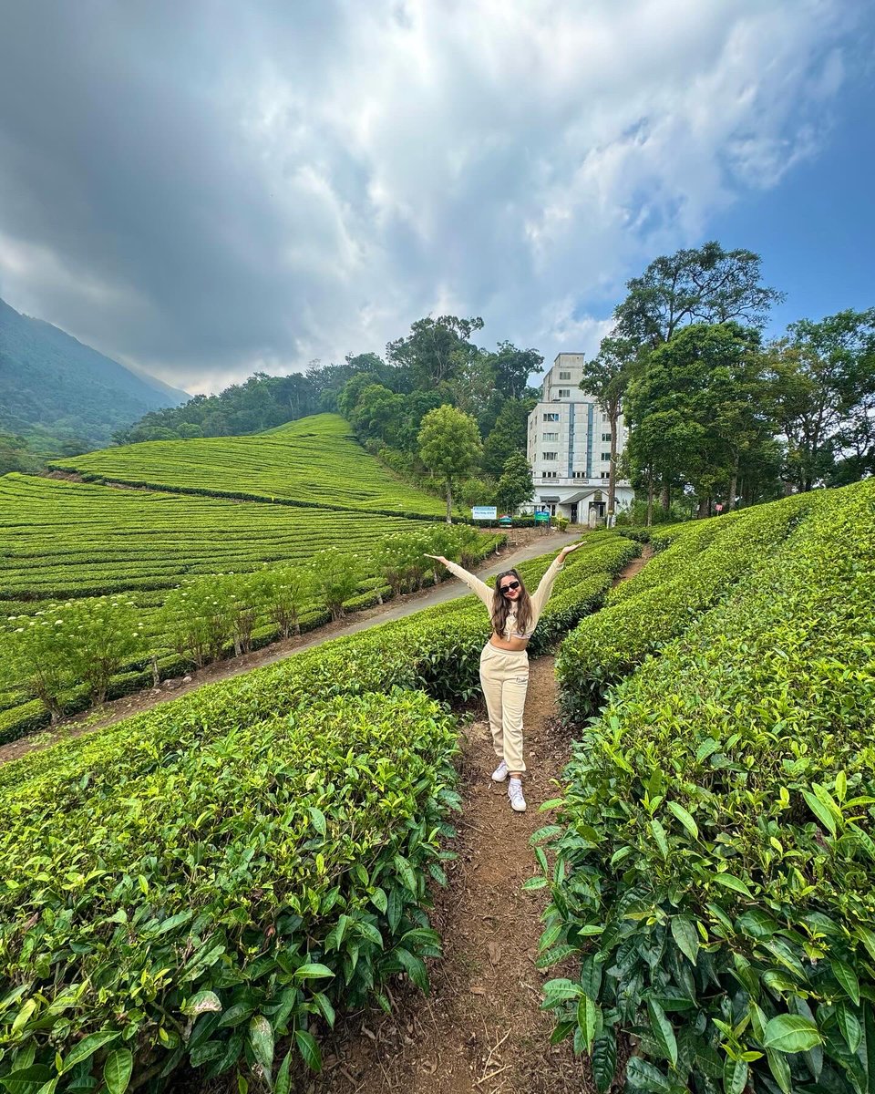 noreenkrana's tweet image. Munnar, you are brew-tea-ful 🍃✨🌹
.
.
#munnar #munnardiaries #munnarteaplantation #munnartrip #munnarhills #munnarresorts