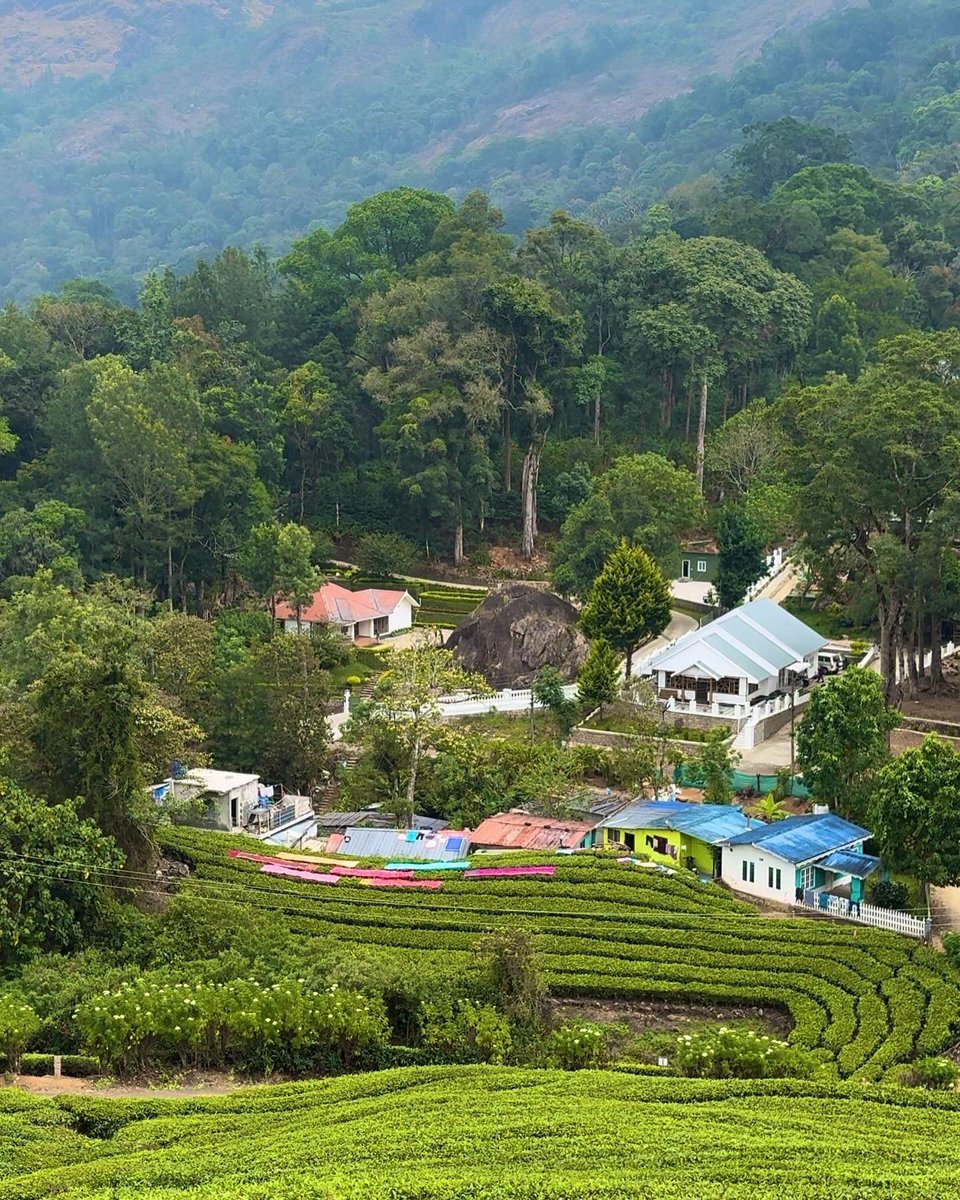 noreenkrana's tweet image. Munnar, you are brew-tea-ful 🍃✨🌹
.
.
#munnar #munnardiaries #munnarteaplantation #munnartrip #munnarhills #munnarresorts