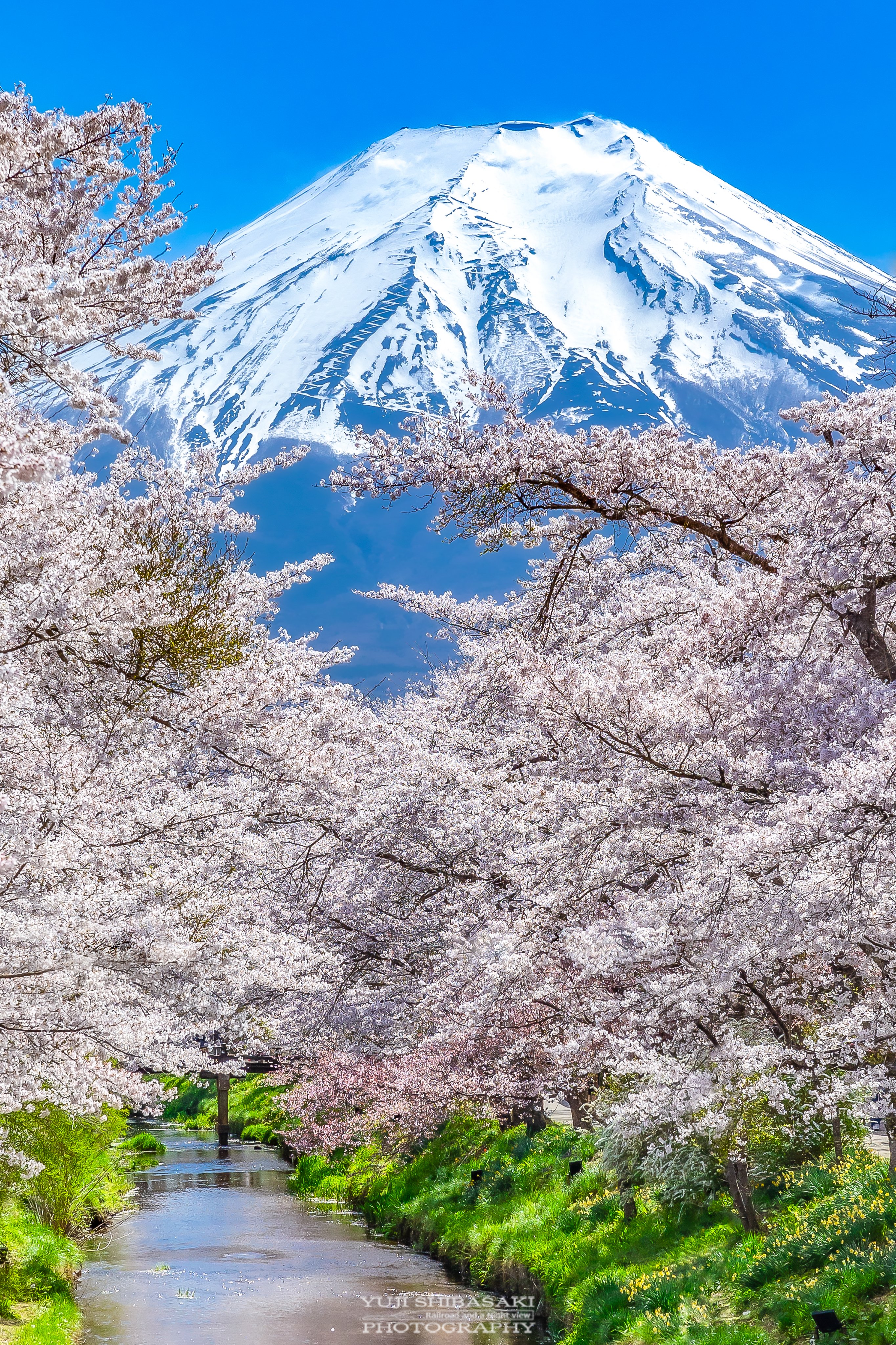 Yuji Shibasaki＠Photo on X: 