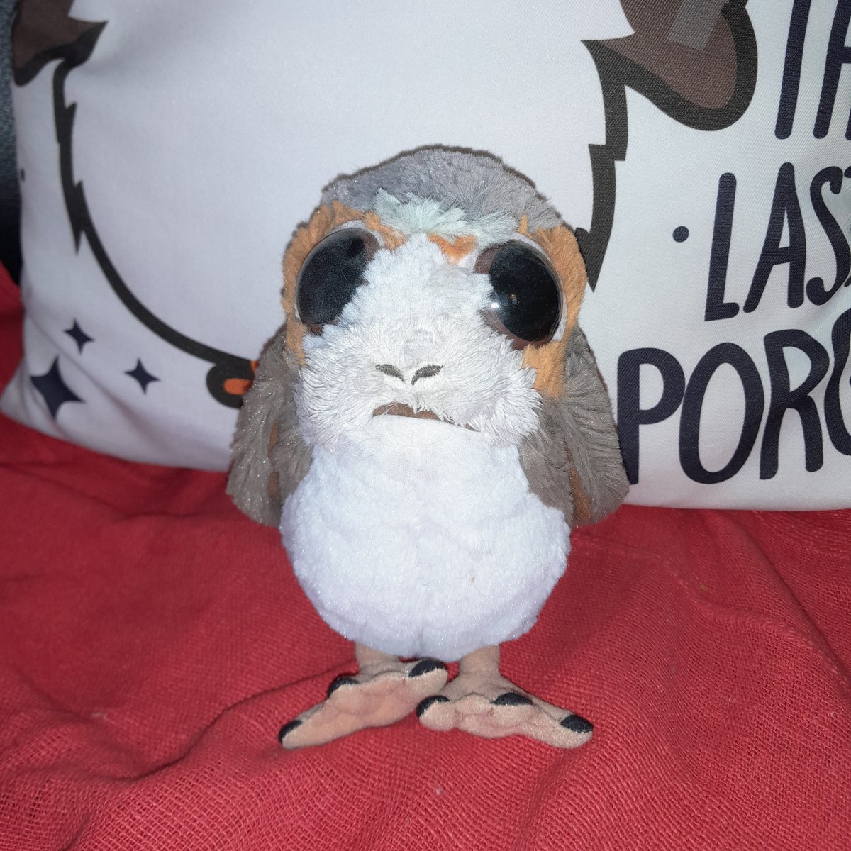 Bert hier. Hello friends I make selfie. Hooman buy new handy I make first picture. I make selfie. 😵‍💫 Hooman give me book for with I can put handy on and make selfie. Is first picture on his handy! Second picture is one he maked. You like my selfie? 😊 #porg #porgs #PorgeanEmpire