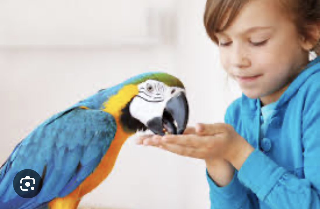 جہاں بھی جاؤ مہربان رہو، جو تم سے ایک بار ملے وہ ہزار بار تم سے ملنا چاہــے۔
~عربی کہاوت