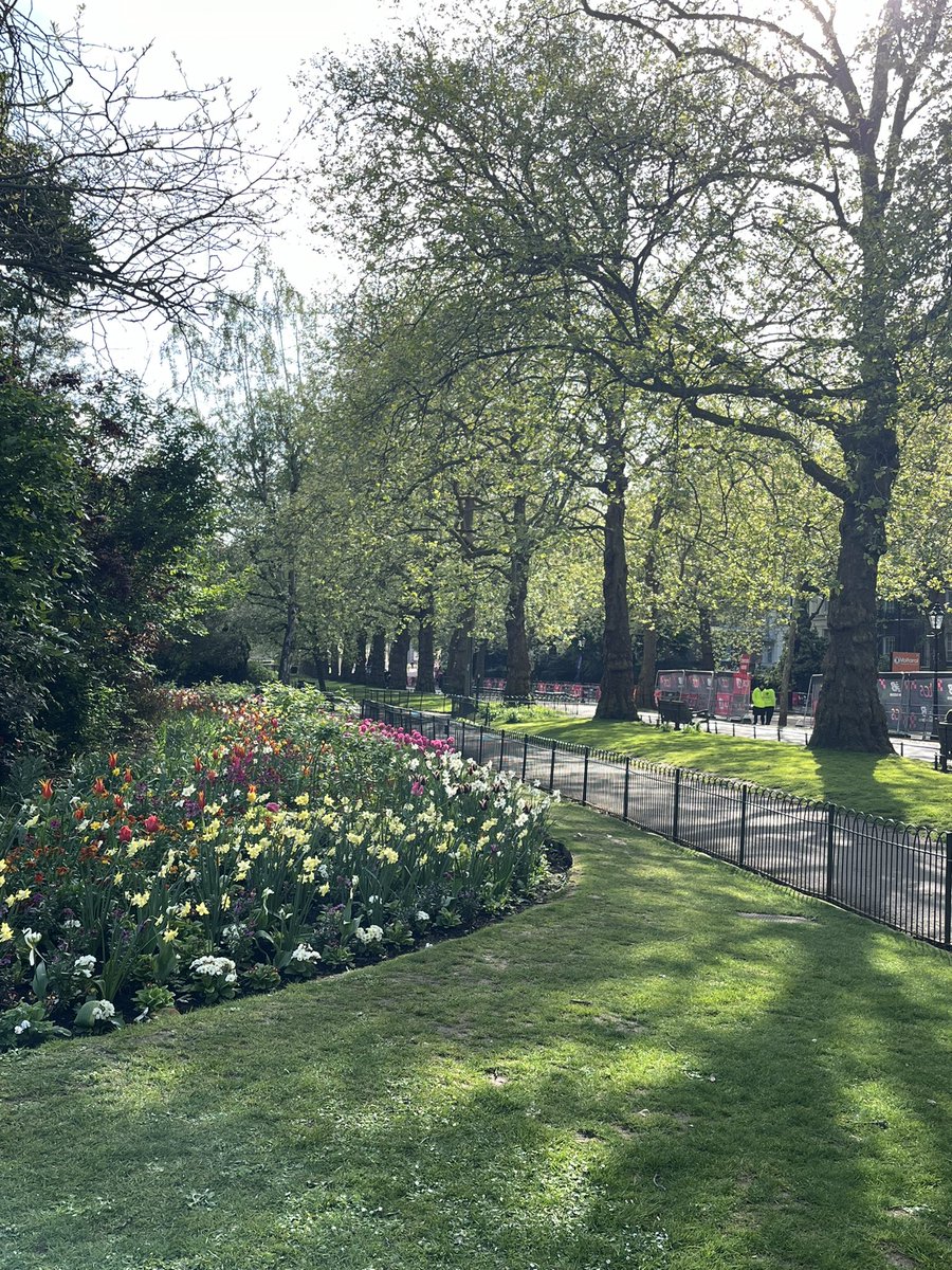 Sean Ingle tweet media