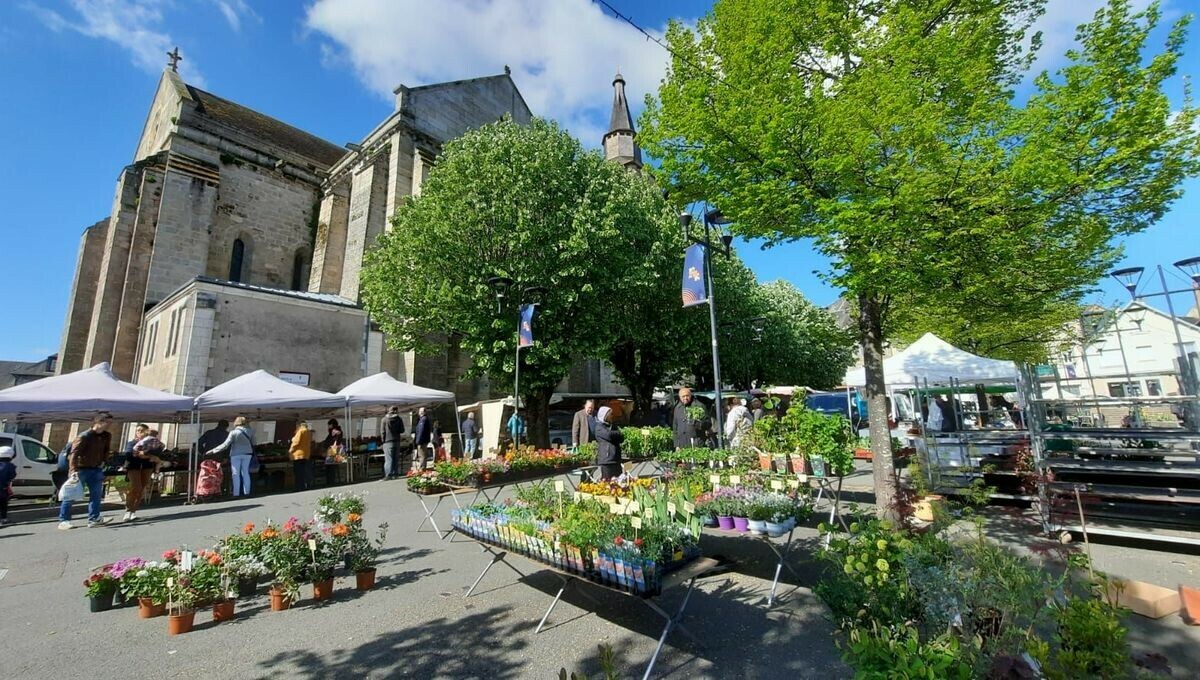 ici_creuse's tweet photo. Le marché de La Souterraine élu plus beau du Limousin, et vise le titre national de #plusbeaumarchédeFrance #Creuse
➡️ https://t.co/XpawoxQUWm https://t.co/26mFooffxp