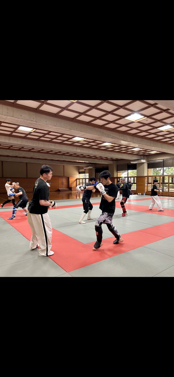 iijimadojo tweet picture