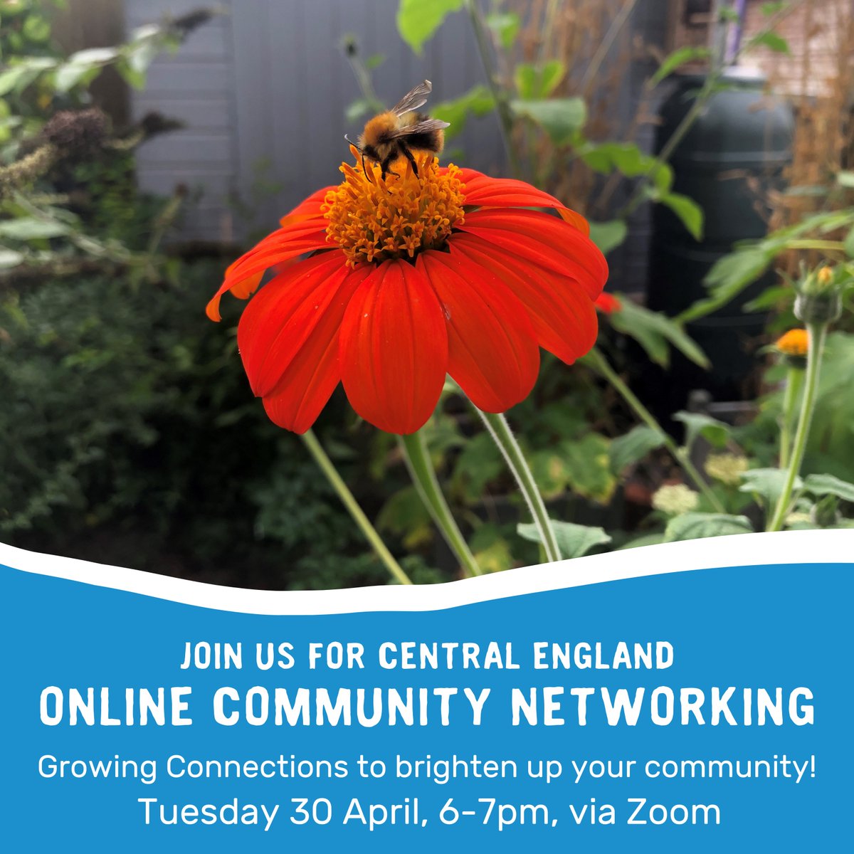 Join @edencommunities for Central England Online Community Networking on Tuesday 30 April. We'll be discussing how we can brighten up our communities and grow connections with some simple ideas. Sign up here: events.more-human.co.uk/event/central-… Look forward to seeing you there! 🌸