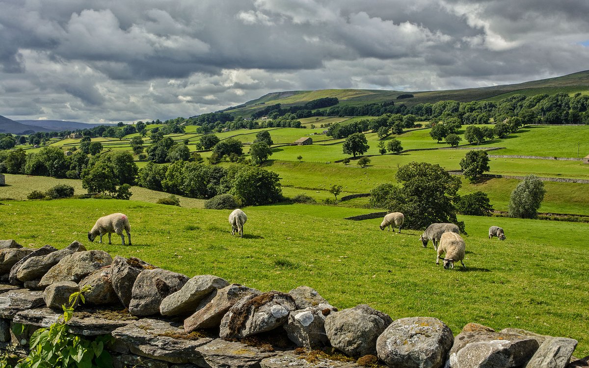 A view of Wensleydale, Yorkshire Dales NP