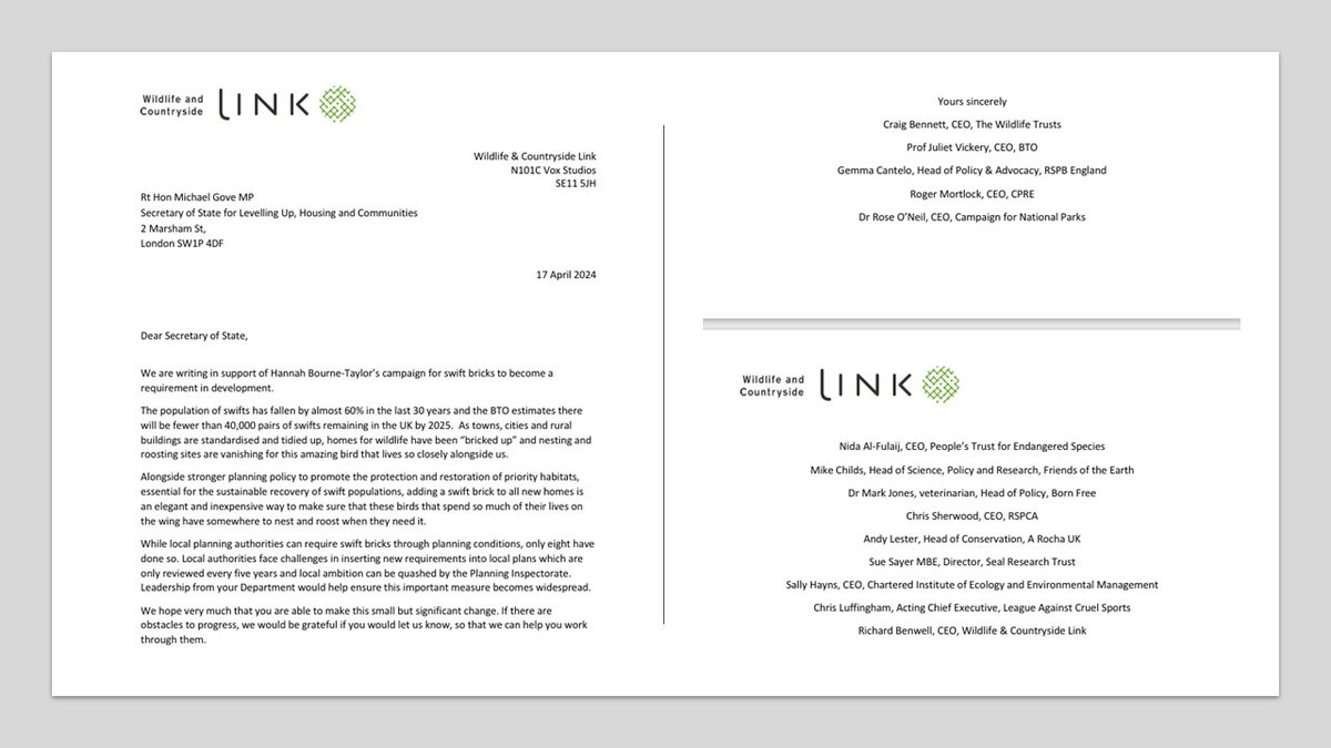 In response to our swift brick campaign the conservation world is UNITED in support. Check out the letter&signatures😍 To be flanked by members of @WCL_News feels ACE!ThankYou! Dear @michaelgove EVERYONE is urging you to act. Sincerely, Hannah Bourne-Taylor & the birds (👁️the🐦‍⬛)