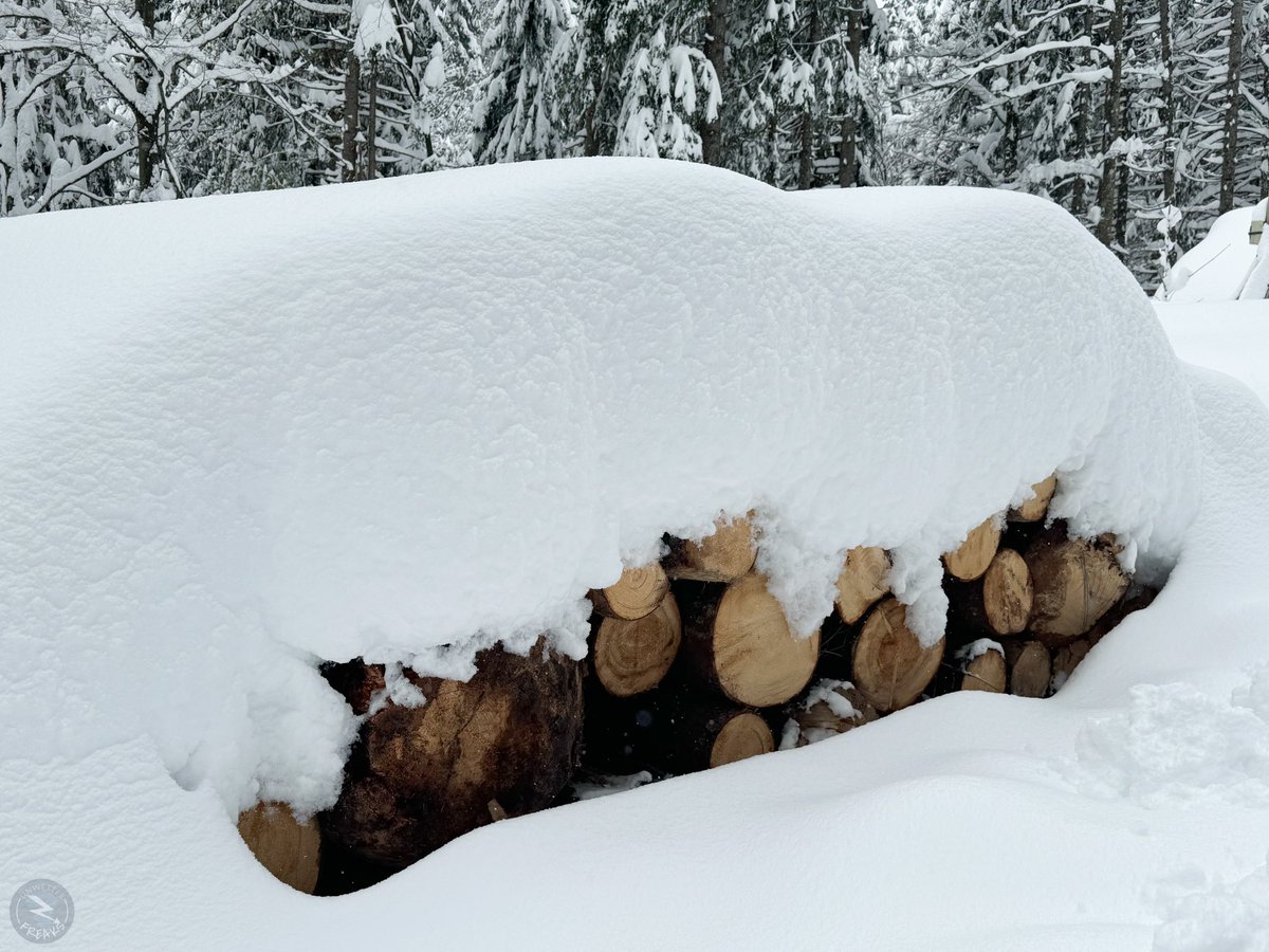 Knapp 70cm Neuschnee auf der oberen Firstalm am Spitzingsee in Oberbayern ❄️ #Schnee #Bayern @Kachelmannwettr @Alpinwetter @Gewitterjaeger